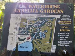 -EG Waterhouse Camellia Gardens Sutherland Shire