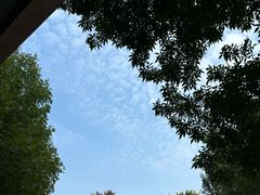 -兰州马子禄牛肉面(文景公园店)