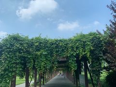 -清东陵