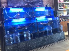 -姜君·千岛湖鱼头馆(浦东大道店)
