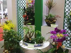-东南花都花博园