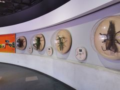 -陕西自然博物馆