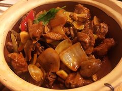 -福苗小骆驼烧烤(莲湖路店)