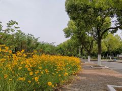 -江南大学(蠡湖校区)