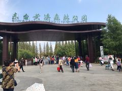 -黄海国家森林公园