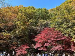 -关门山森林公园