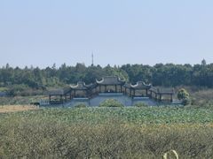 -上海海湾国家森林公园