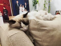 -iF摄影•全家福•证件照•形象照(南山店)