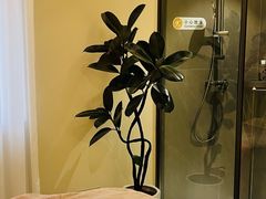 -瑶舍头疗·瑶浴·芳香热石SPA(五洲国际店)
