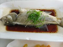 -云中小雅