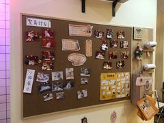 -滚猫咖啡·猫咖·猫友好撸猫(未来城店)