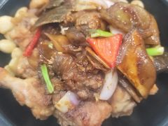 甲鱼鸡-小贝壳酒楼(经九路店)