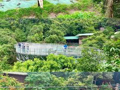 -海南槟榔谷黎苗文化旅游区