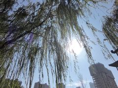 -木塔寺遗址生态公园