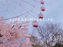 -东湖磨山景区