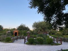 -夏津德百度假村温泉