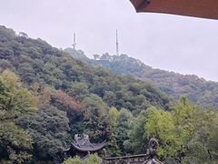 -韬光茶庵