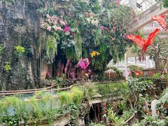-正佳雨林生态植物园