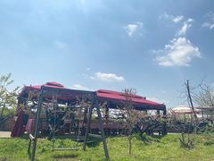 -樂桃源奉贤黄桃种植采摘基地