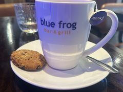 -bluefrog蓝蛙(皇庭广场店)