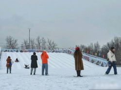 -268童话露营农场·烧烤·团建