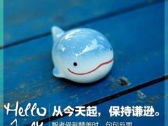 -暖阳宠物医院·犬猫康复中心·骨科
