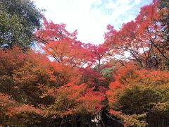 -醍醐寺