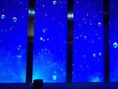 景点-上海环球金融中心云端足球盛典