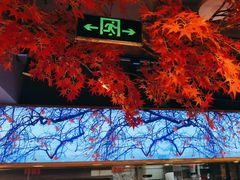 -鸽子窝(宋庄店)