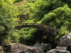 -龙湾潭国家森林公园