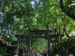 -杭州黄龙洞