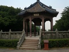 -中山大学学者灵芝(园南路店)
