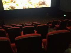 -万达影城(锦华万达广场IMAX店)