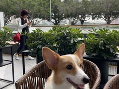 -星巴克臻选(广州二沙岛文立方店)