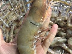 -王四营海鲜市场