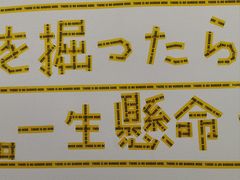 -金泽21世纪美术馆