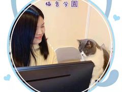 -猫音日语留学培训