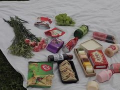 -关山草原
