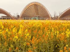 -中国天府农业博览园