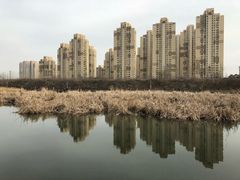 -前关湿地公园