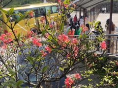 -大围山国家森林公园