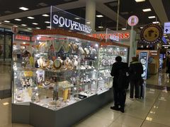 -谢列梅捷沃国际机场