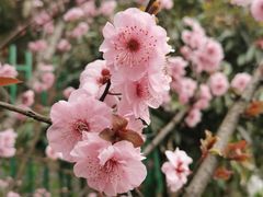 -狼山风景名胜区