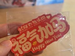 -广州长隆飞鸟乐园