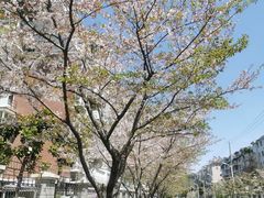 -永乐路-路侧停车场