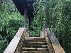 -黄陂区野村谷景区