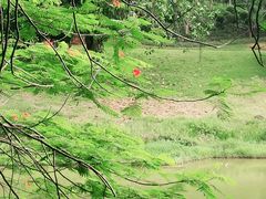 -东莞植物园