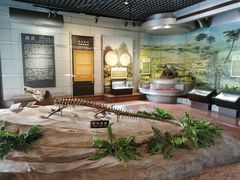 -自贡恐龙博物馆