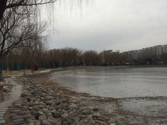 -廊坊文化艺术中心