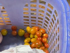 -新塘水果乐园(东洲大道店)